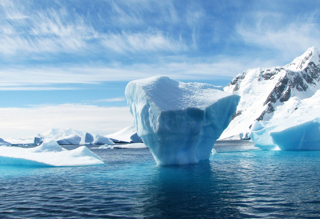 The Science of Cold Plunging: Unlocking Wellness with a Chill
