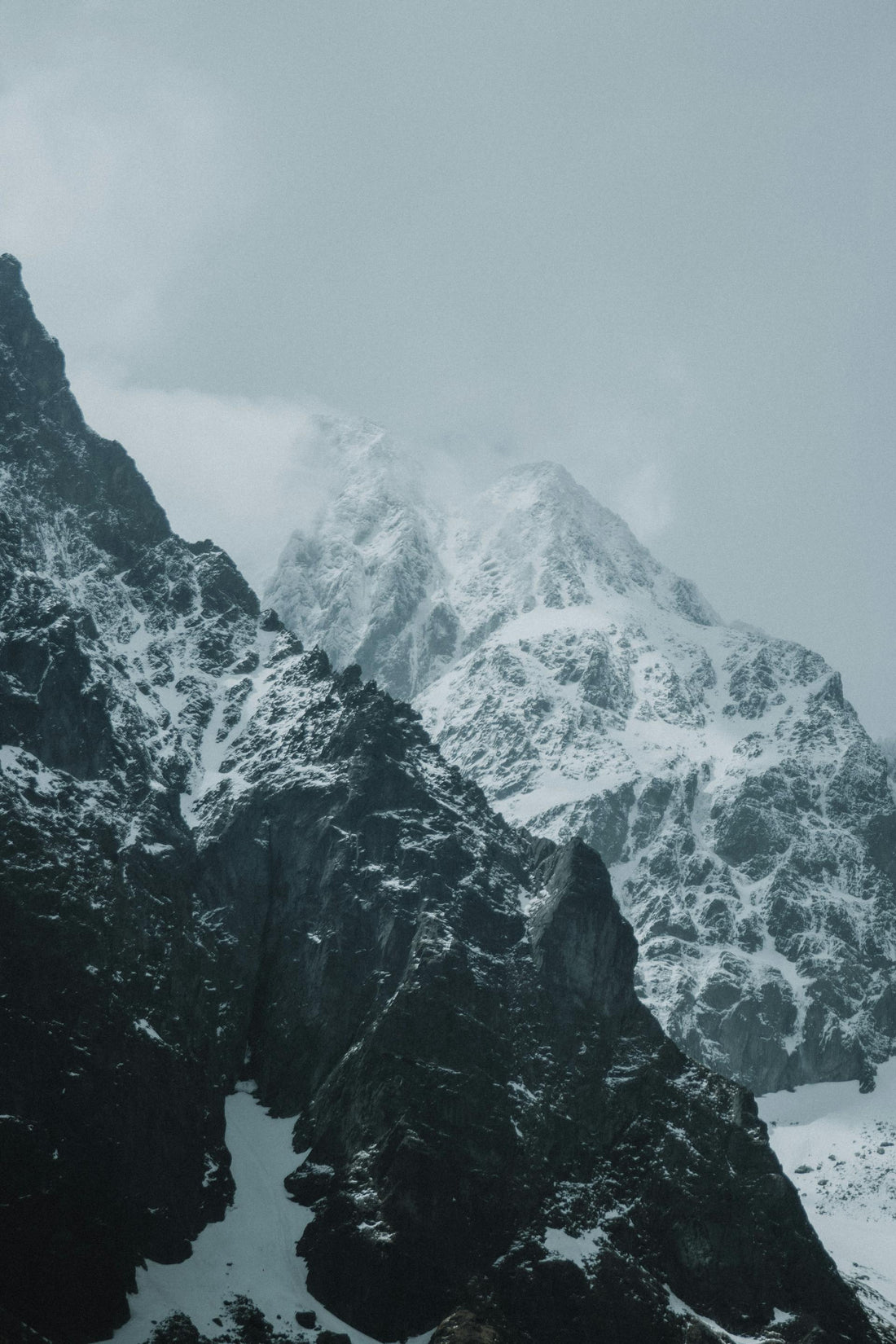 Breathwork and Cold Plunges
