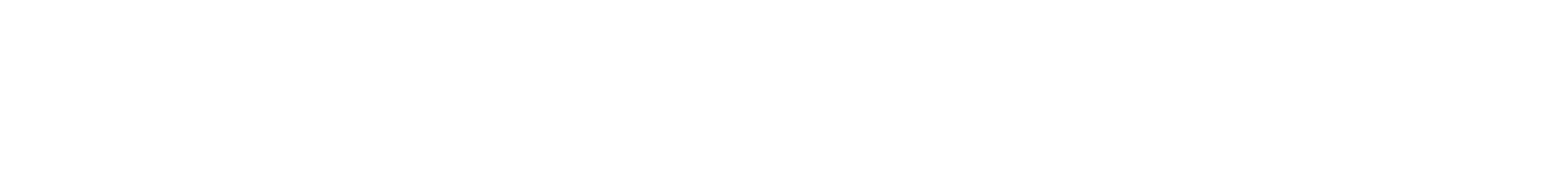 Wordmark Logo